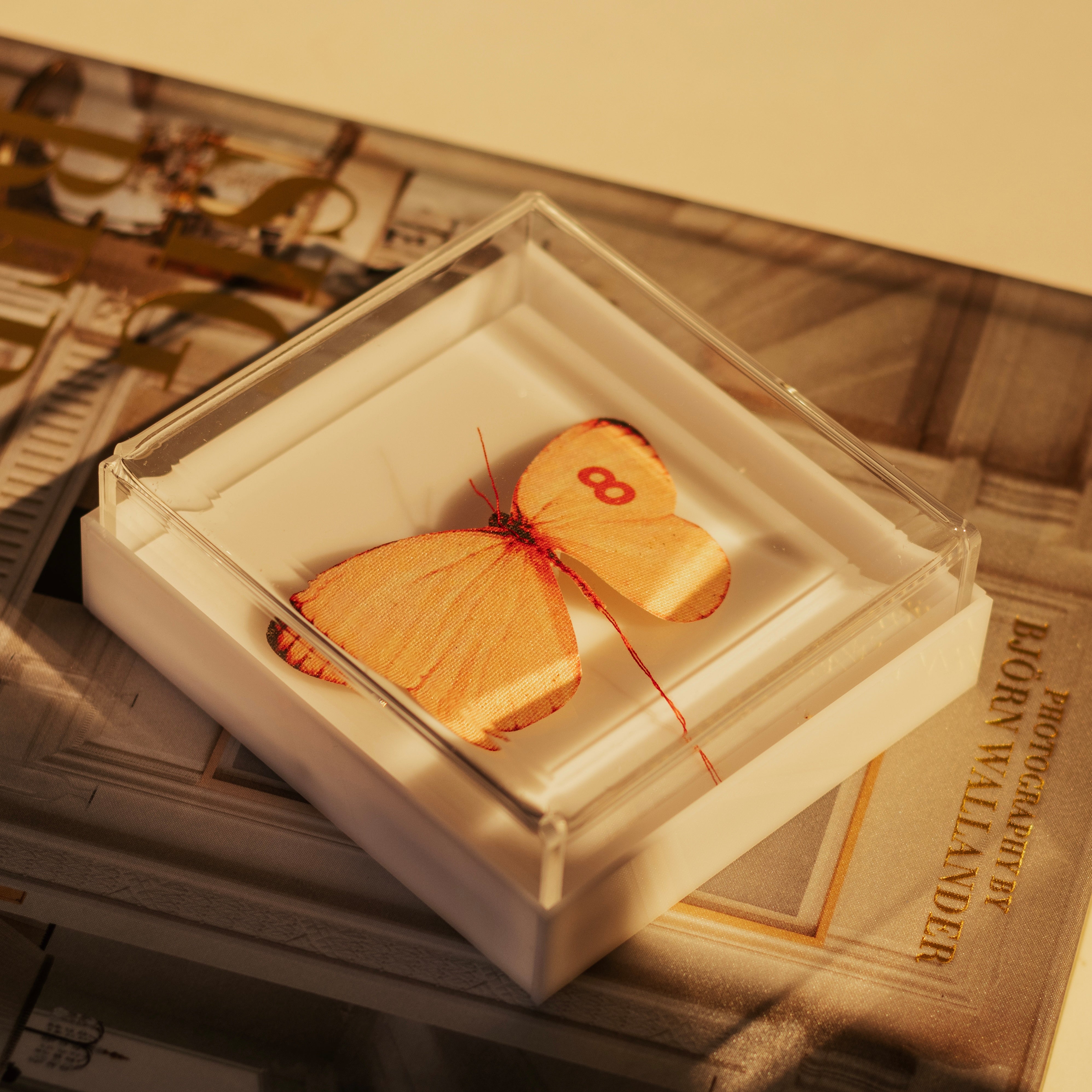 quadro acrílico borboleta rosa