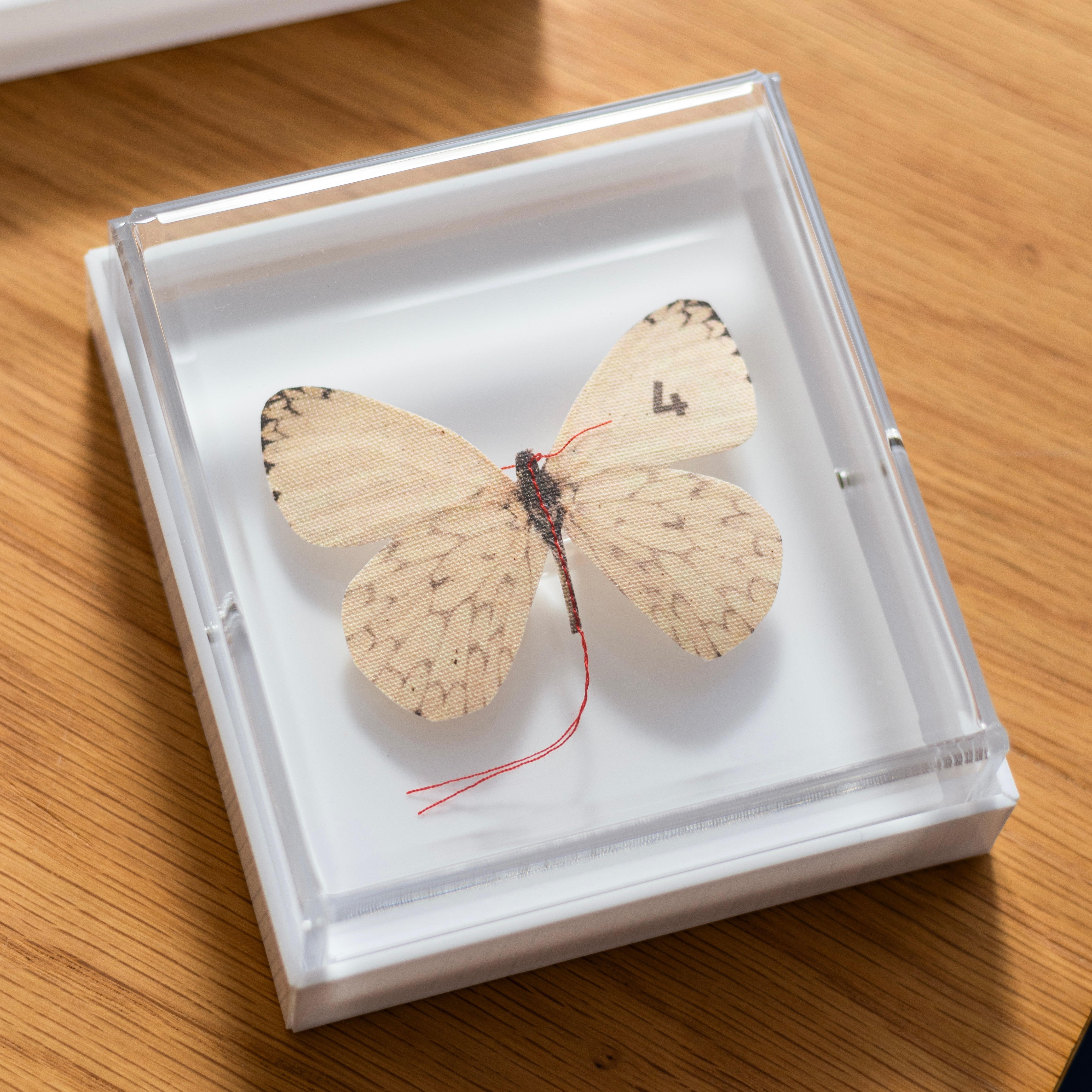 quadro acrílico borboleta branca