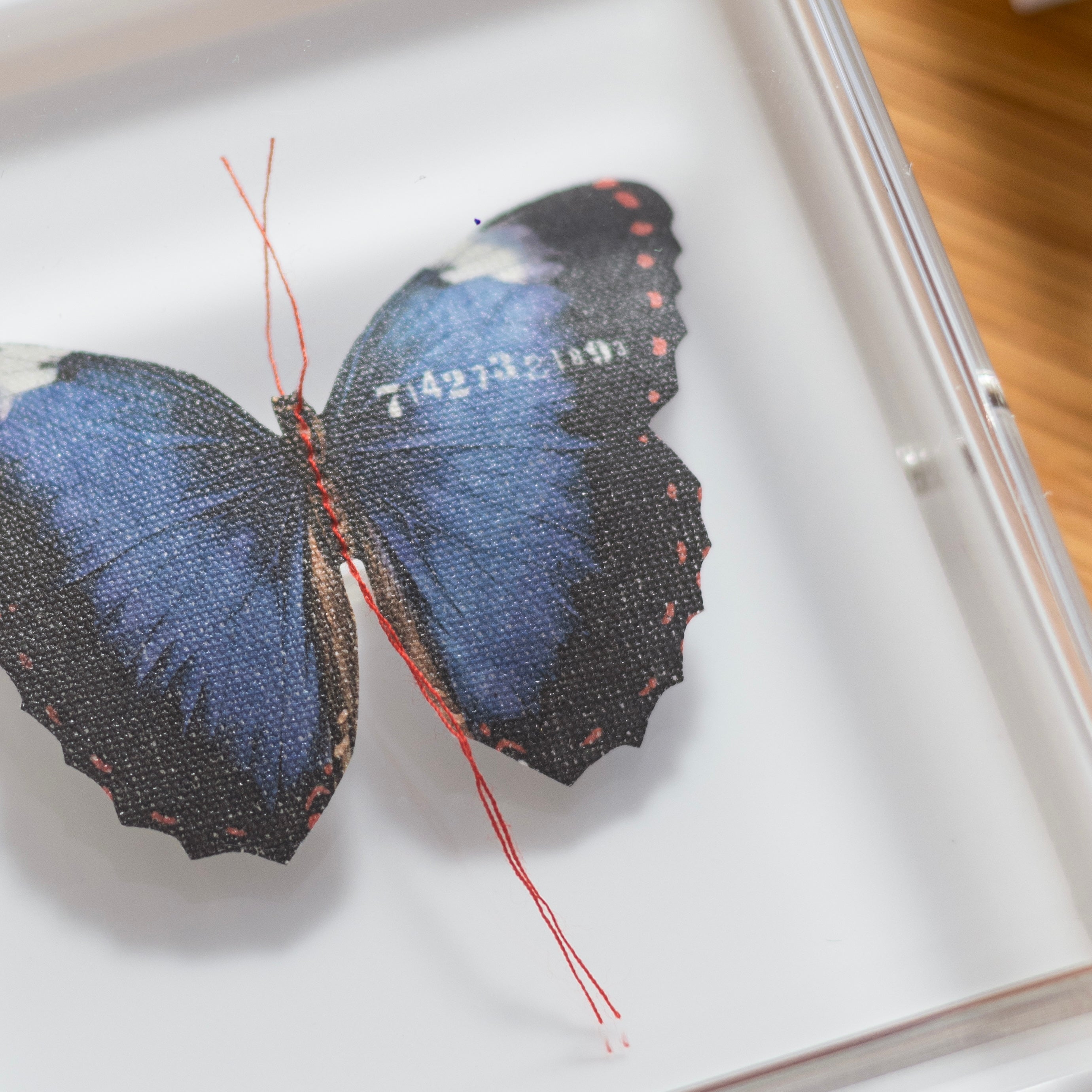 quadro acrílico borboleta azul