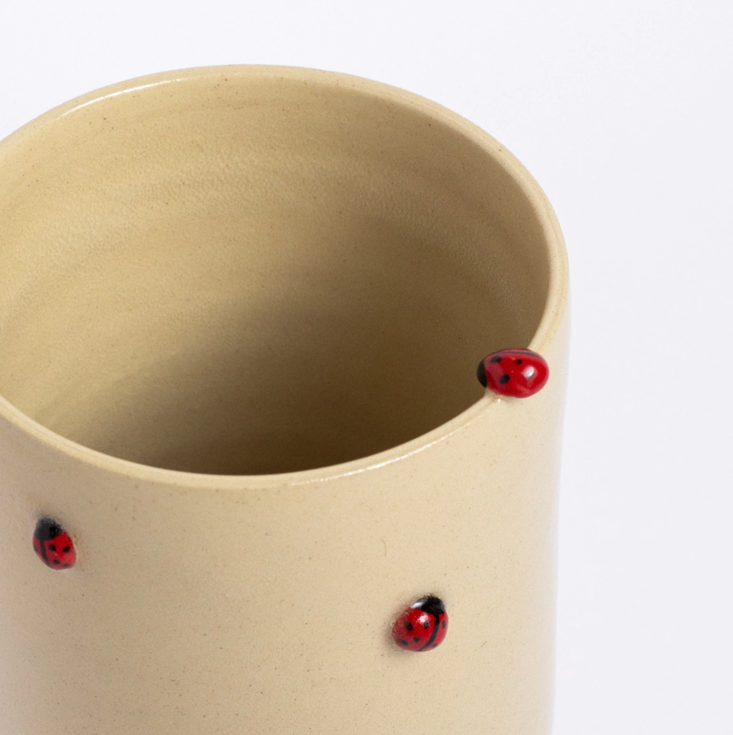 vaso gabi joaninha