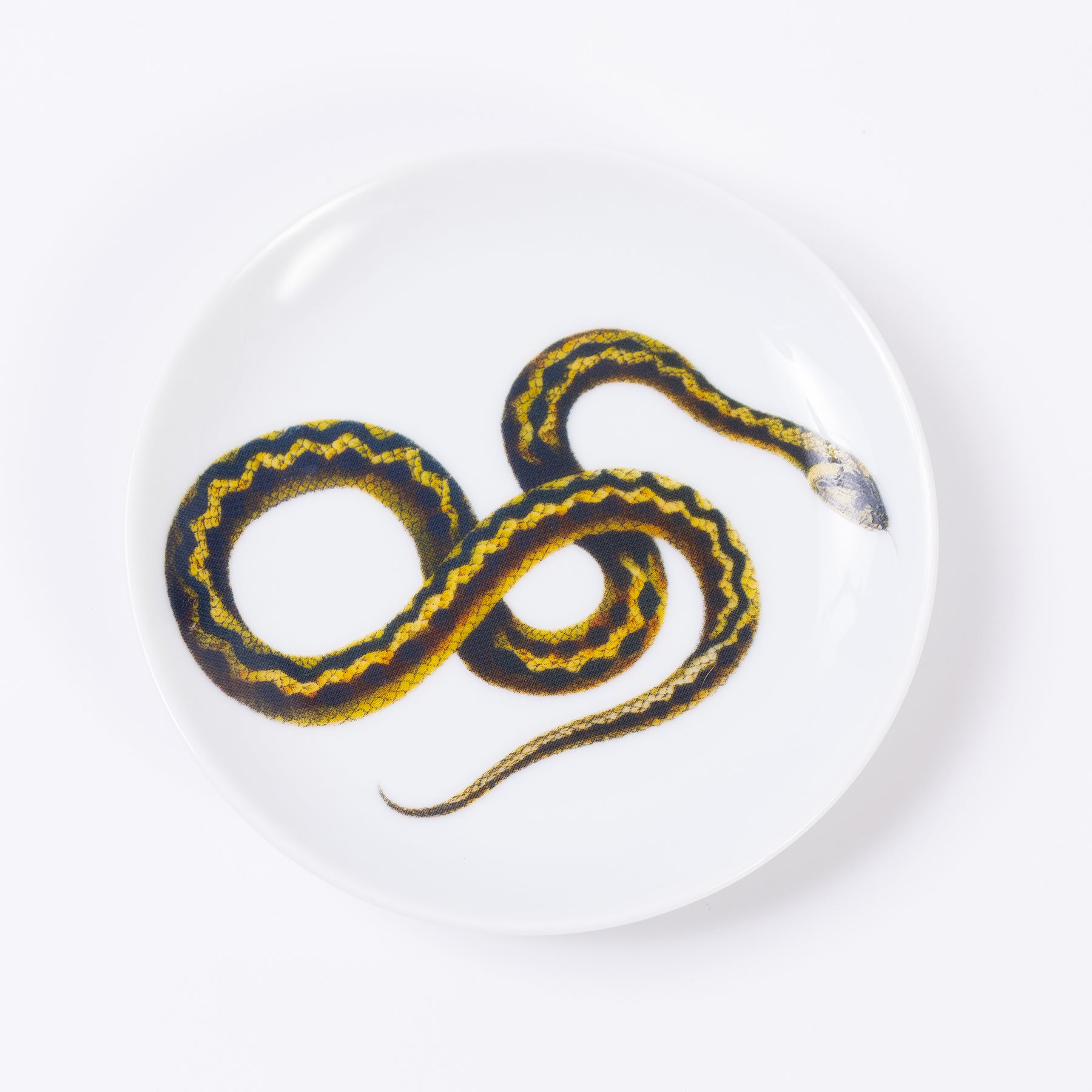 prato cobra