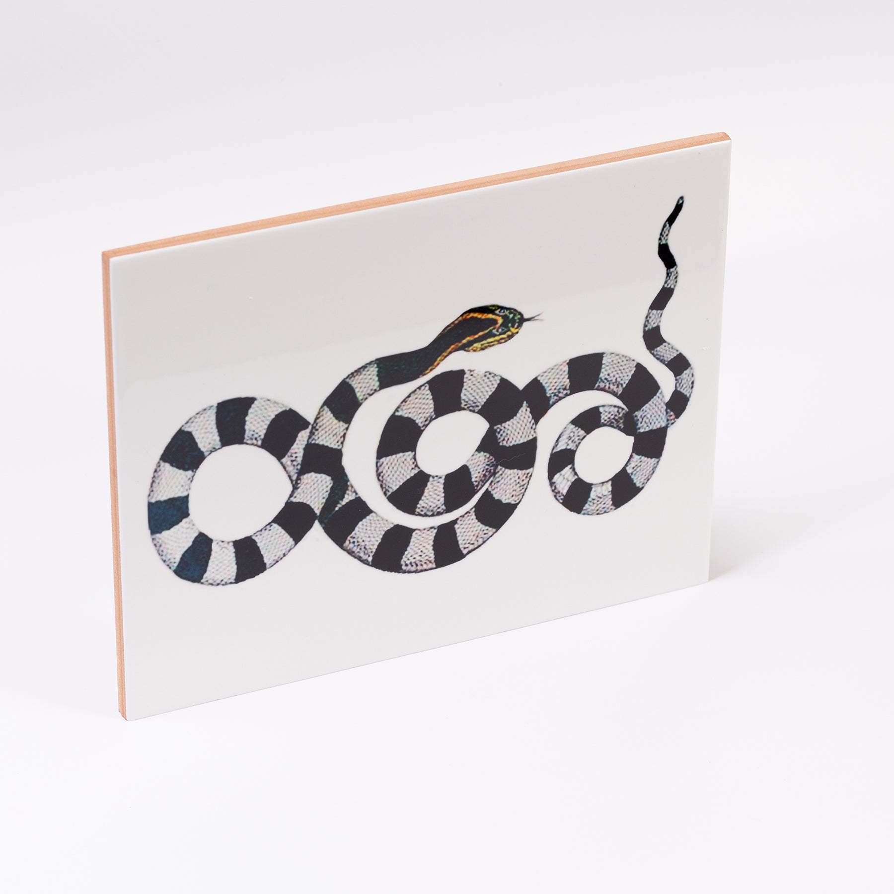 azulejo cobra