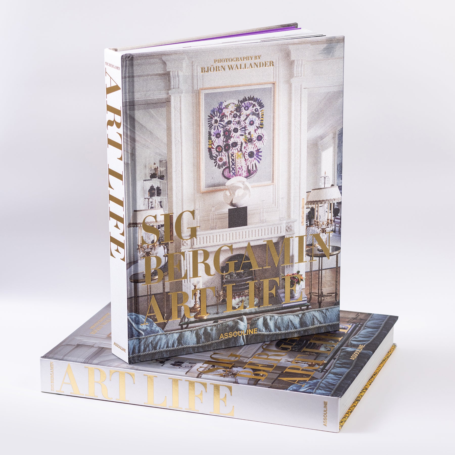 livro art life by sig bergamin