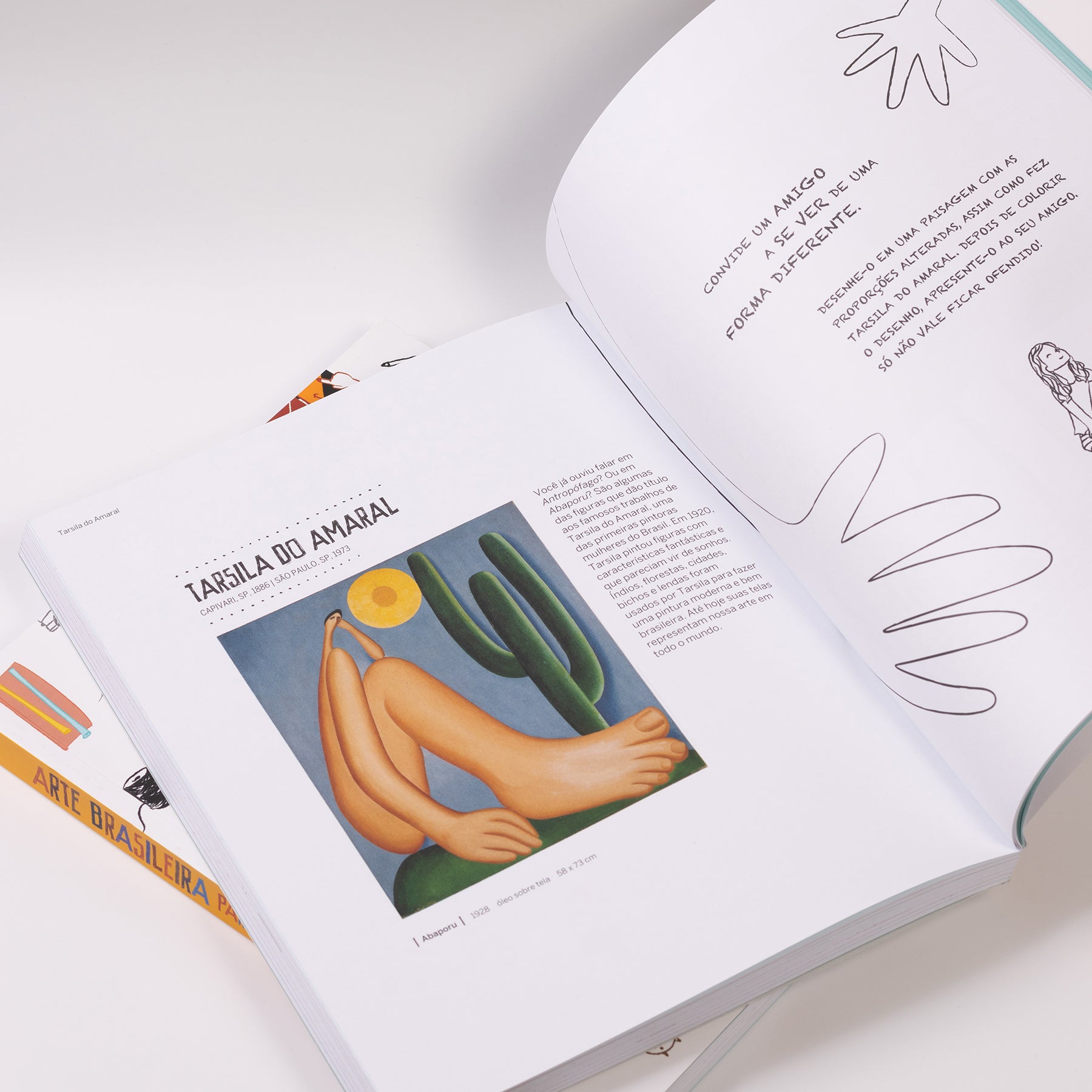 livro arte brasileira para crianças