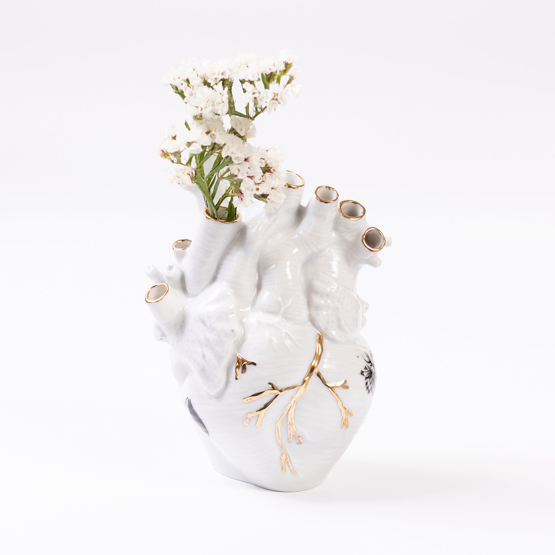 vaso coração artéria