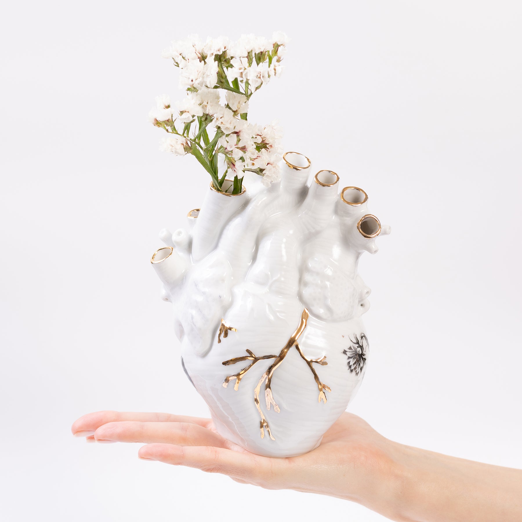 vaso coração artéria