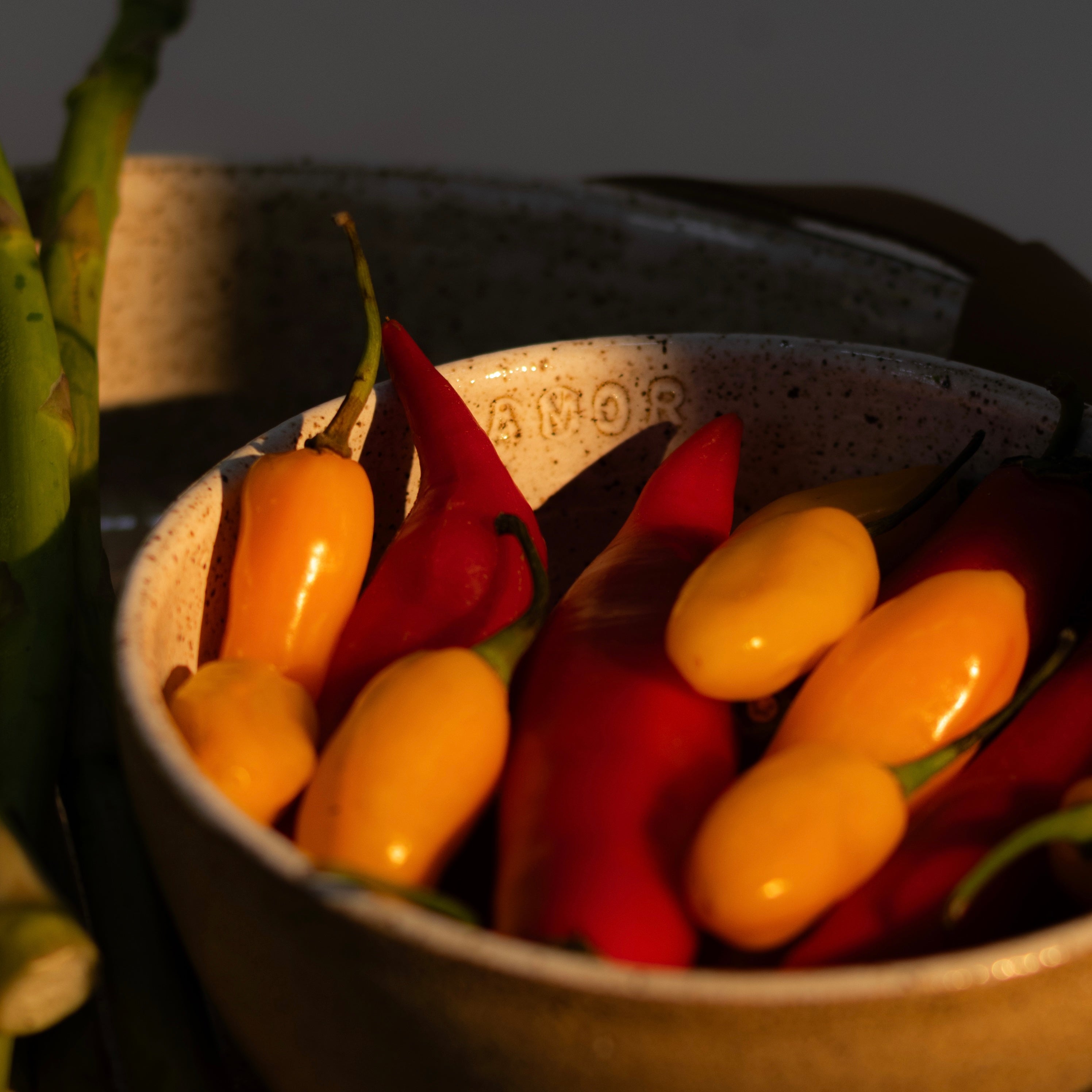 conjunto bowl areia - amor