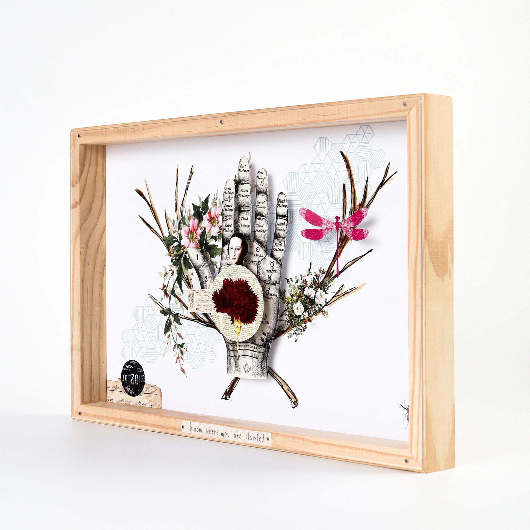 quadro box bloom where you are planted