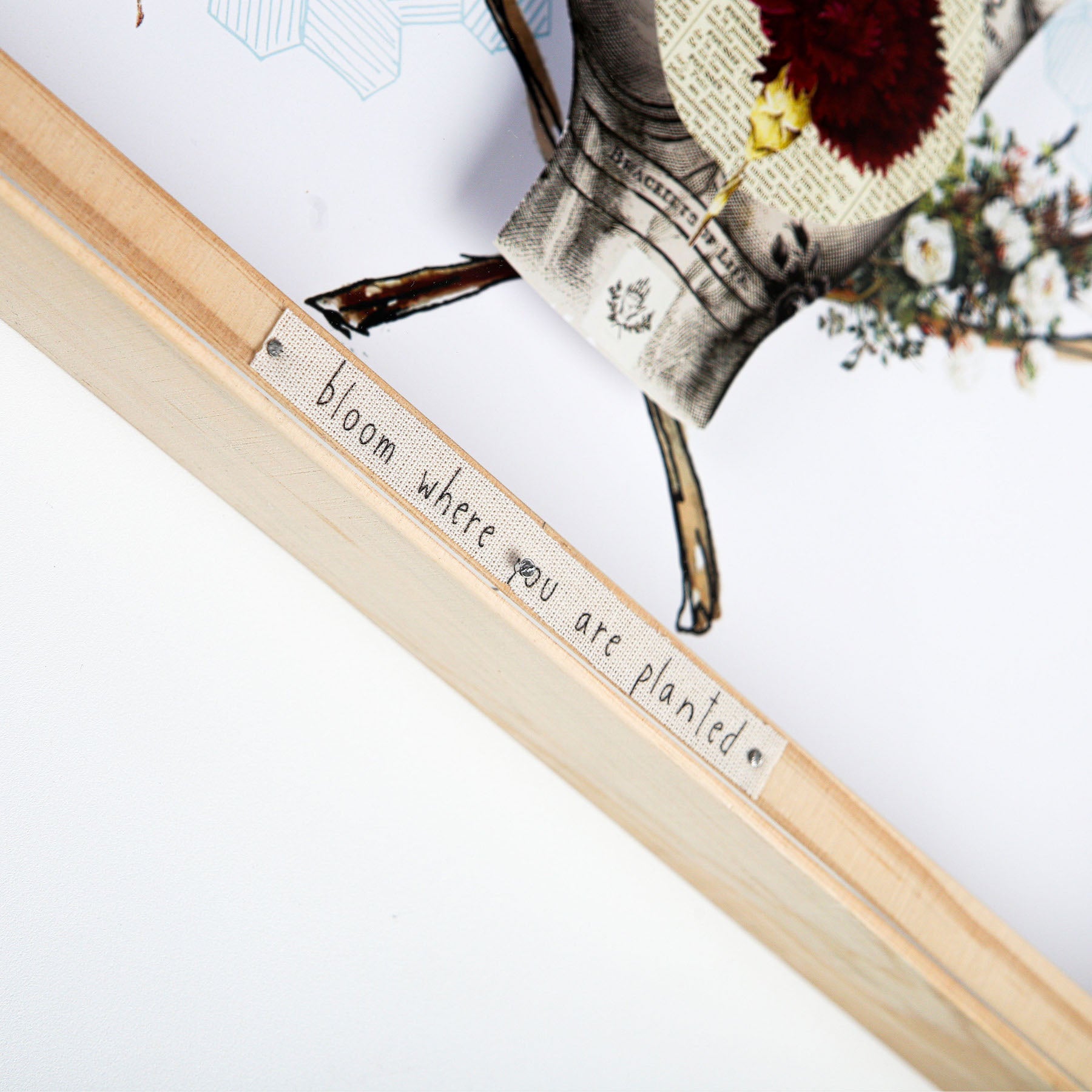 quadro box bloom where you are planted