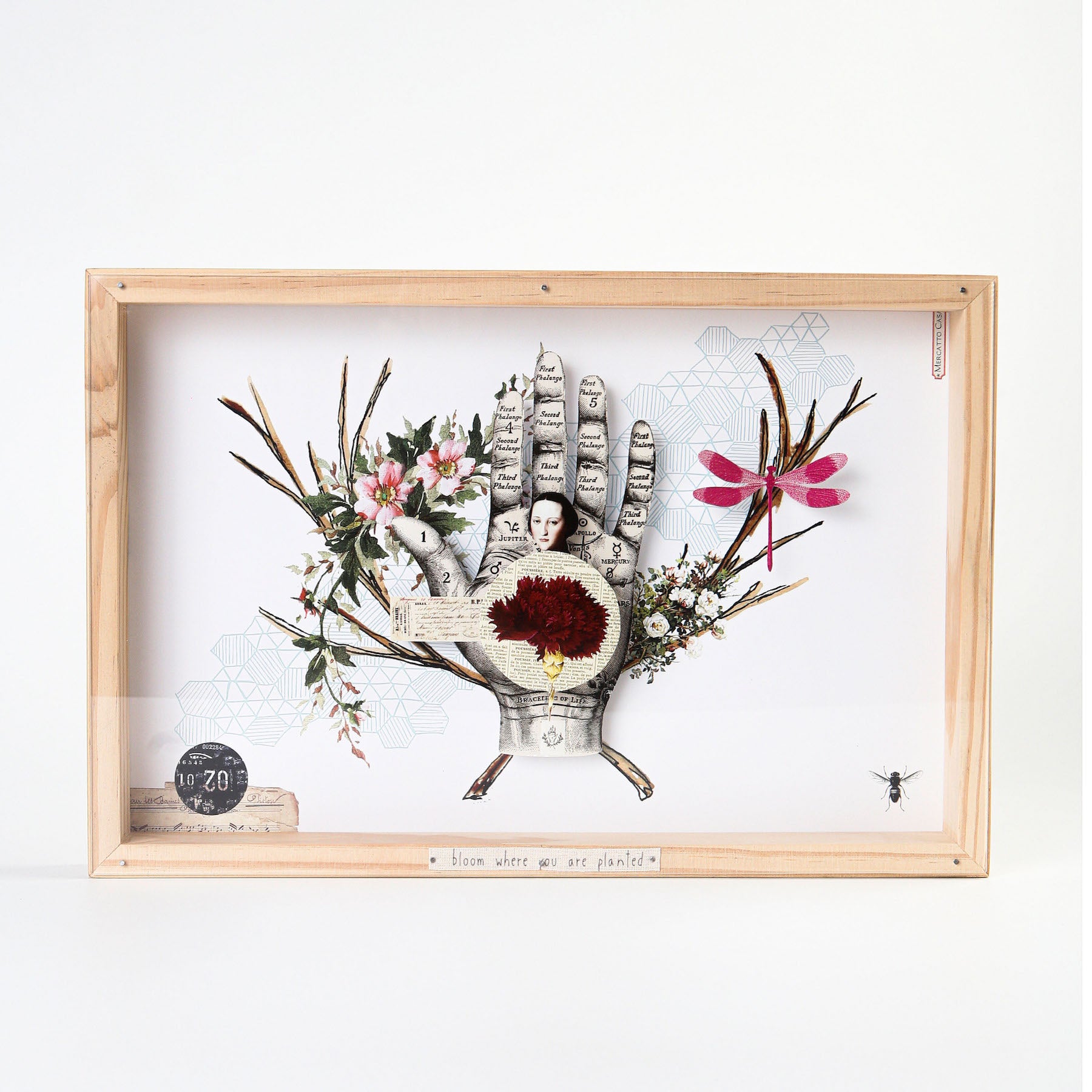 quadro box bloom where you are planted