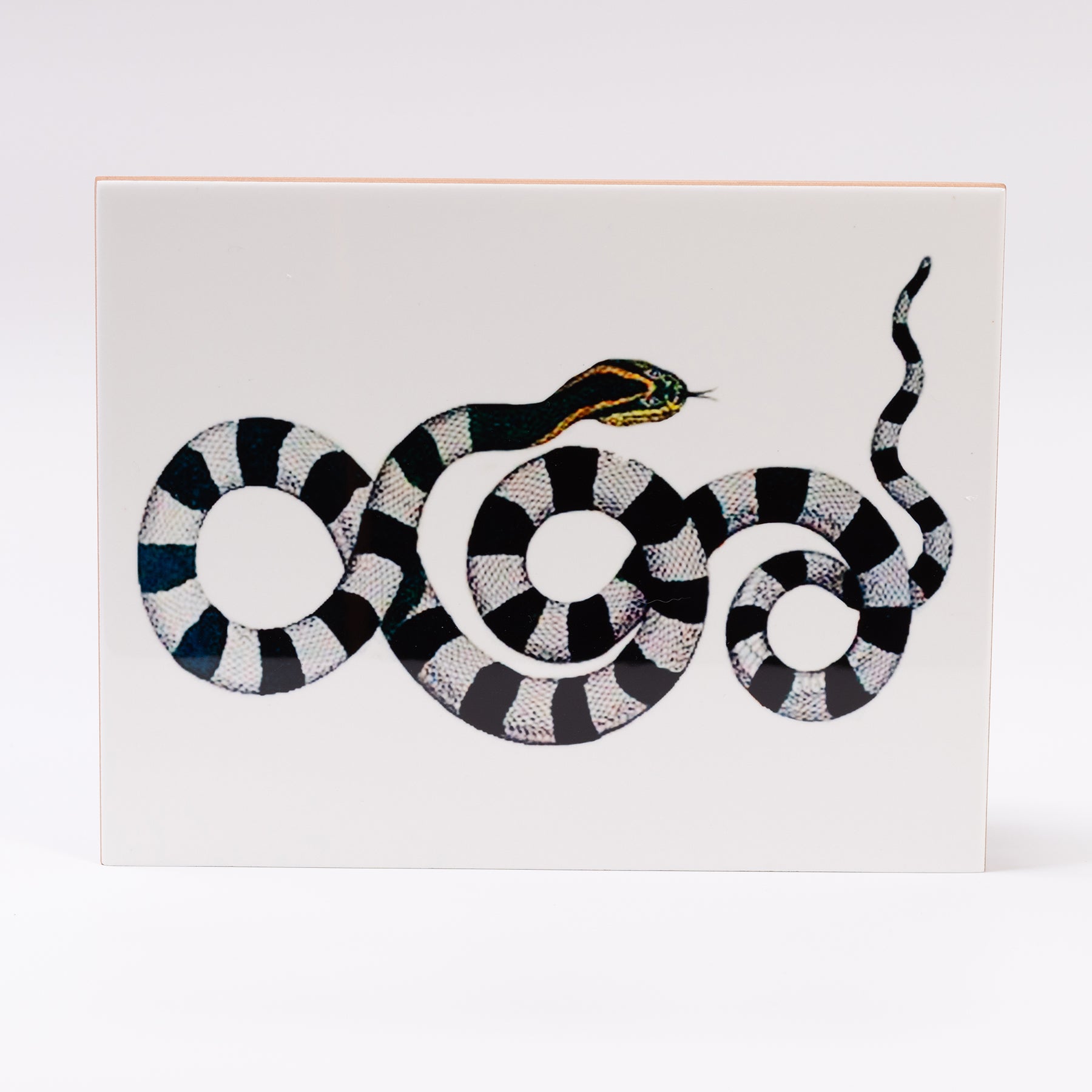 azulejo cobra